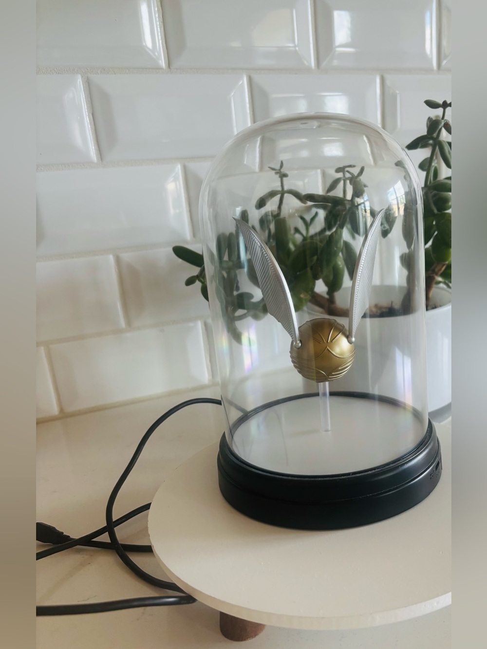 Harry Potter Golden Snitch Glow Display💛